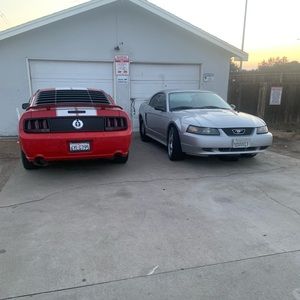 Meet your Posher, Edward